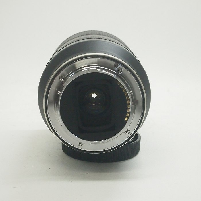 タムロン 28-200/2.8-5.6 DIIII RXD A071 ソニーE用