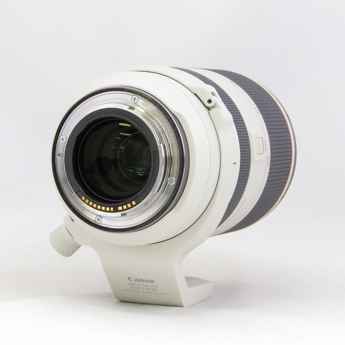 キヤノン RF70-200/2.8L IS USM