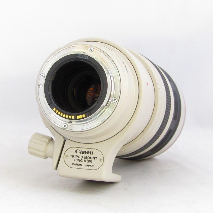 キヤノン EF100-400/4.5-5.6L IS USM