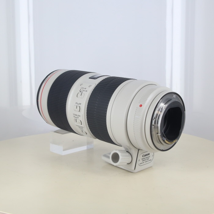 キヤノン EF70-200/F2.8L IS III USM