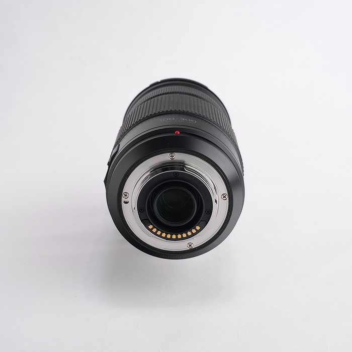 パナソニック G VARIO100-300/4-5.6IIPOWER O.I.S. (H-FSA100300)