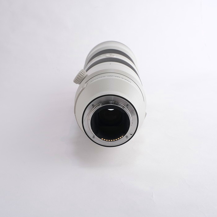 ソニー FE200-600/F5.6-6.3 G OSS (SEL200600G)