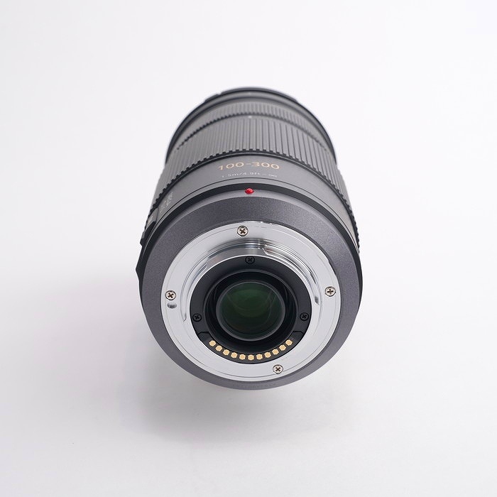 パナソニック LUMIX G VARIO 100-300/4-5.6 MEGA O.I.S. [H-FS100300]