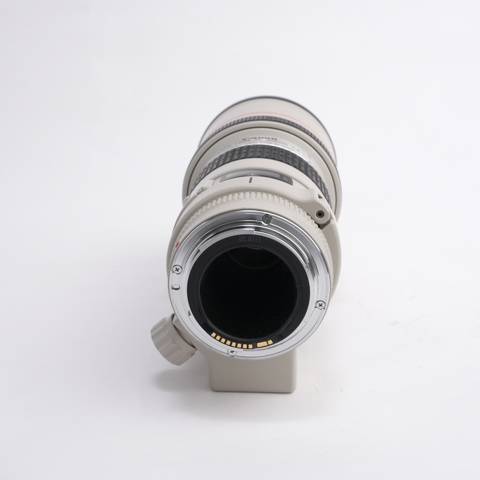 キヤノン EF300/4L USM