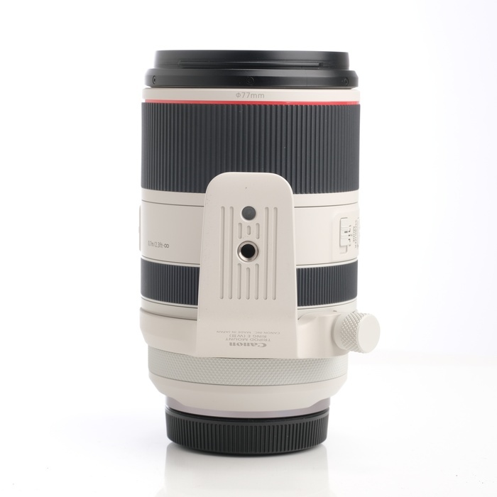 キヤノン RF70-200/2.8L IS USM