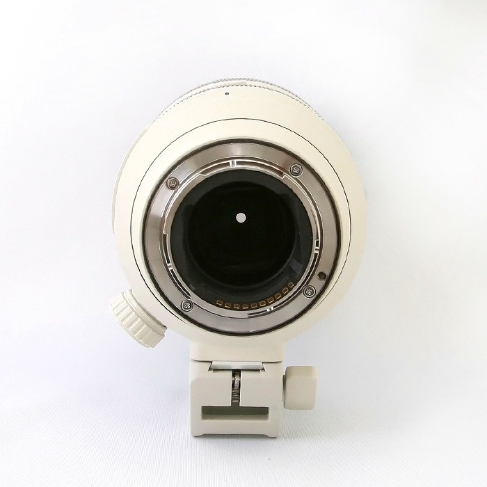 ソニー ソニー FE70-200/F2.8 GM OSS II