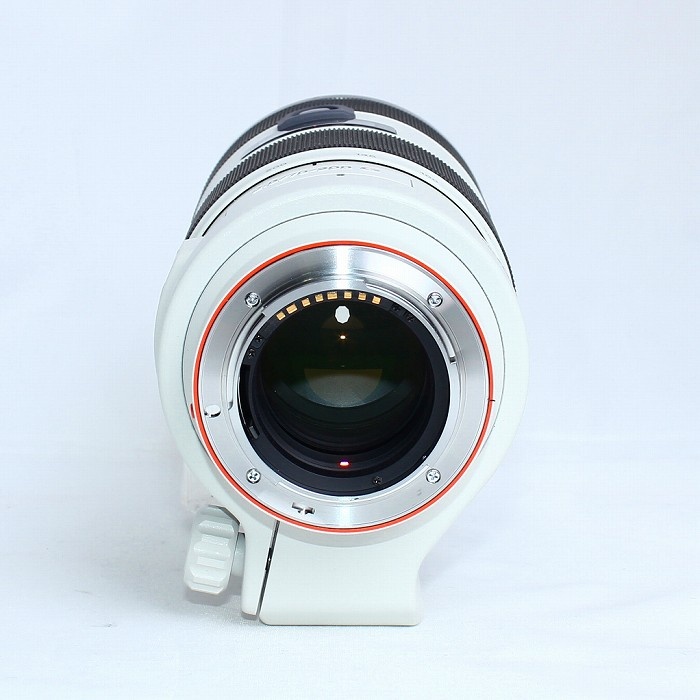 ソニー 70-200/F2.8 G(ソニーA用)