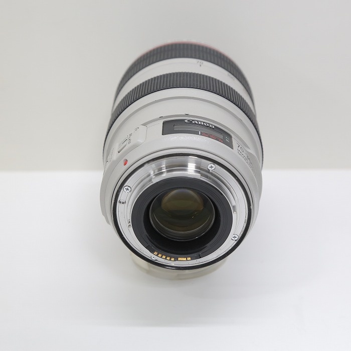 キヤノン EF70-300/F4-5.6L IS USM