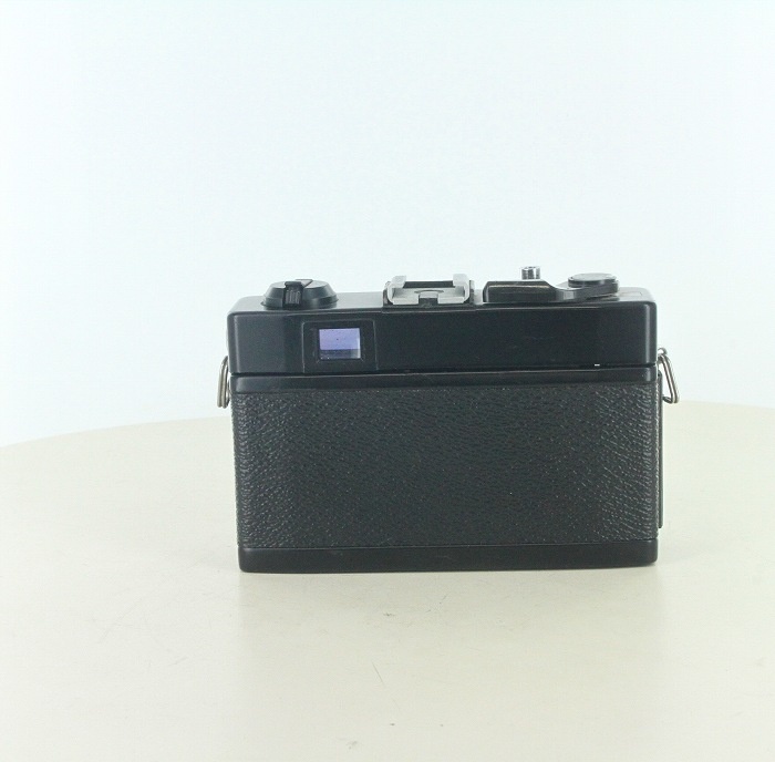 SEAGALL 205A