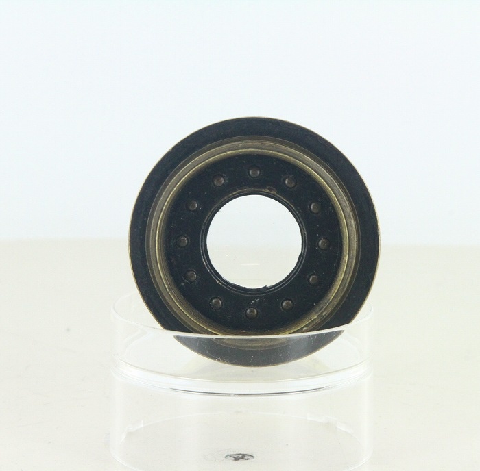 ソノタ Brasslens only part of lens