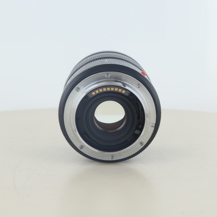 LEICA R マクロエルマリート R60/2.8