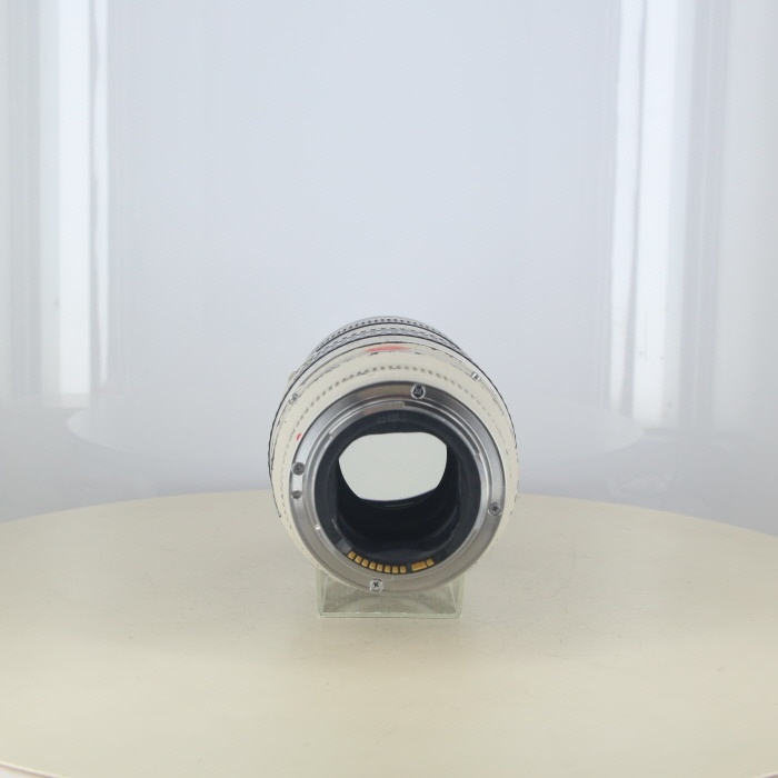 キヤノン EF70-200/2.8L USM