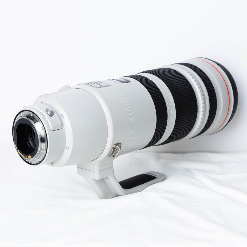キヤノン EF200-400/4L IS USM EXTENDER 1.4X