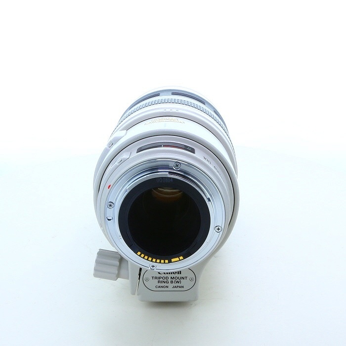 キヤノン EF100-400/4.5-5.6L IS USM