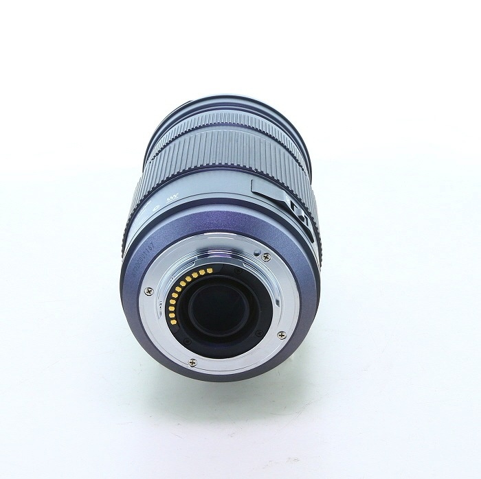 パナソニック LUMIX G VARIO 100-300/4.0-5.6 MEGA O.I.S. H-FS100300