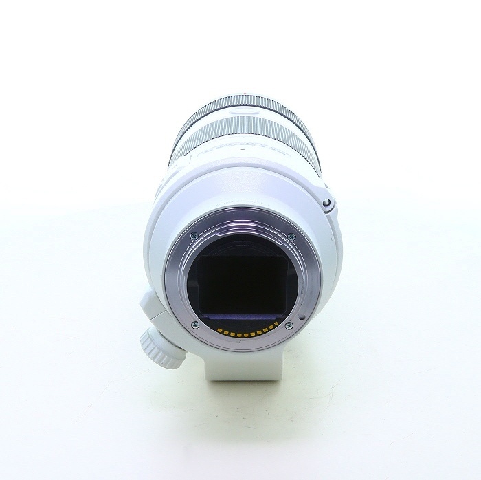 ソニー FE70-200/4 G OSS