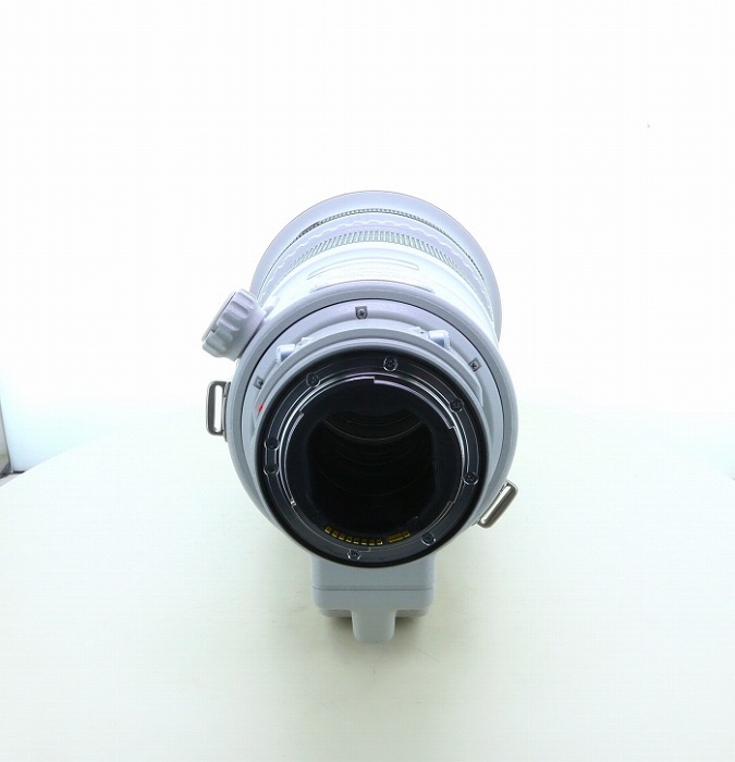 キヤノン EF300/2.8L IS II USM