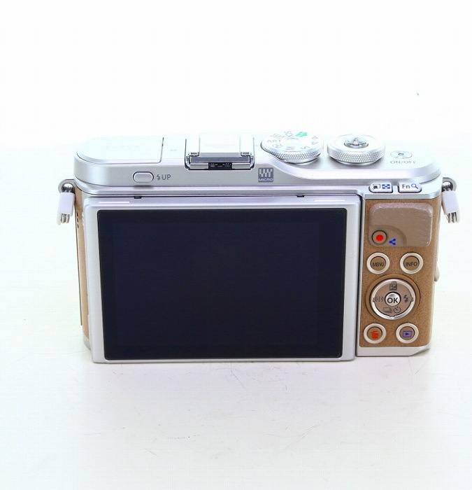 オリンパス E-PL9 ボデイ ブラウン