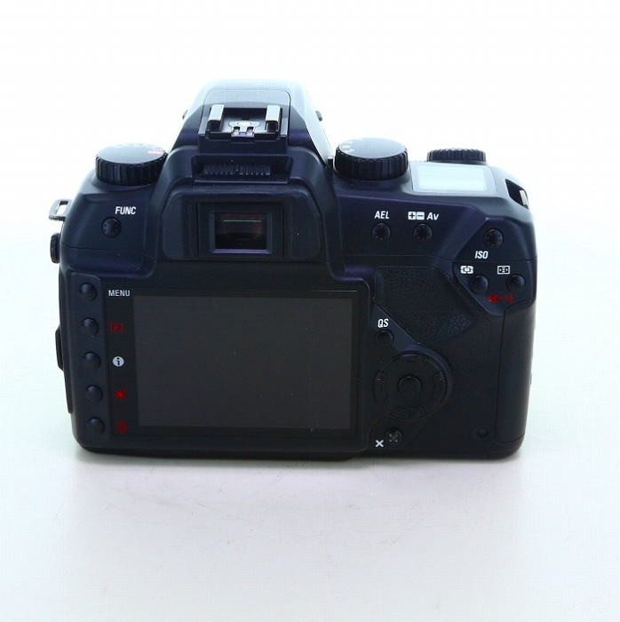 シグマ SD15 ボデイ