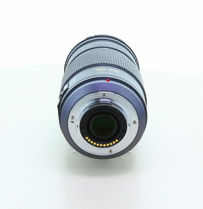 パナソニック LUMIX G VARIO 100-300/4.0-5.6 MEGA O.I.S.