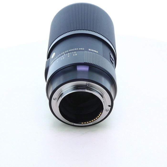 シグマ 105/2.8 DG DN MACRO ART SE (ソニー用)