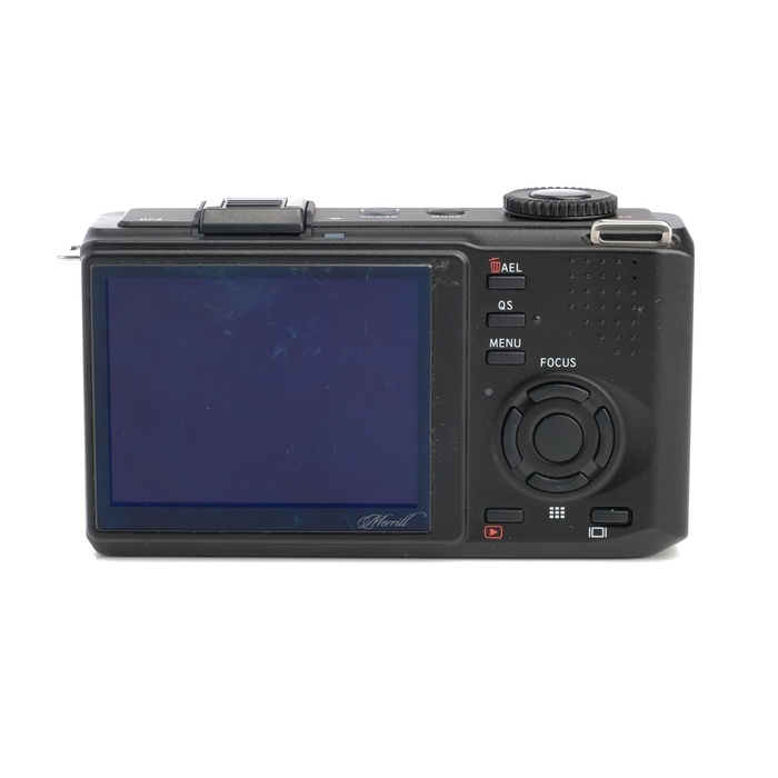 シグマ DP2 MERRILL