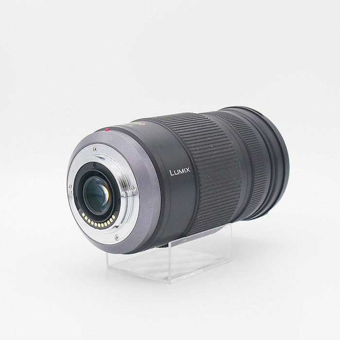 パナソニック G VARIO 100-300mm/F4.0-5.6/MEGA O.I.S.【H-FS100300】