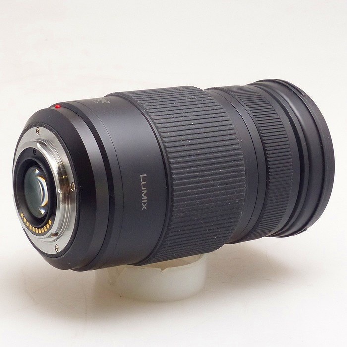 パナソニック G VARIO 100-300/F4.0-5.6 II POWER O.I.S. H-FSA100300