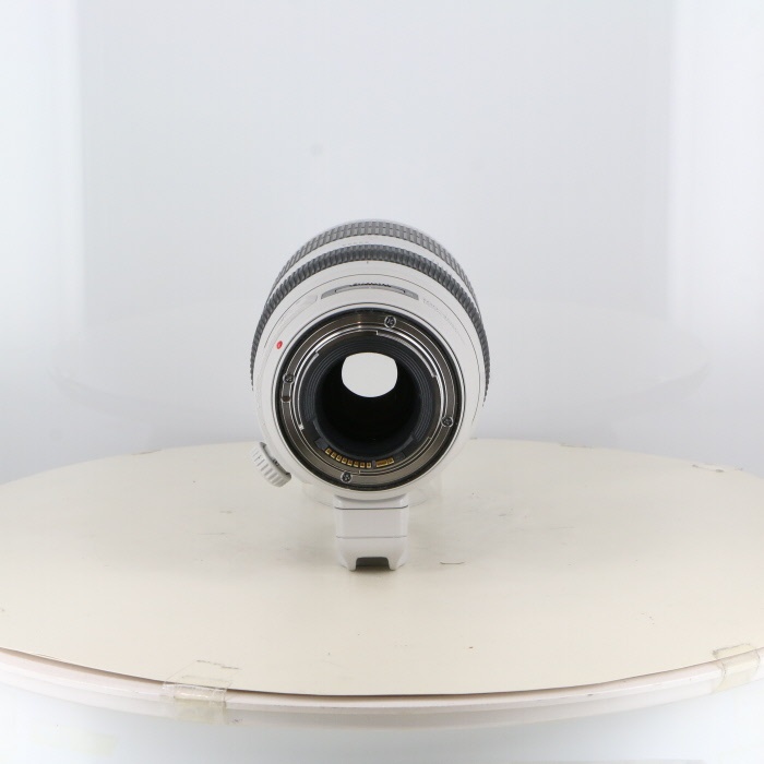 キヤノン EF100-400/4.5-5.6L IS II USM