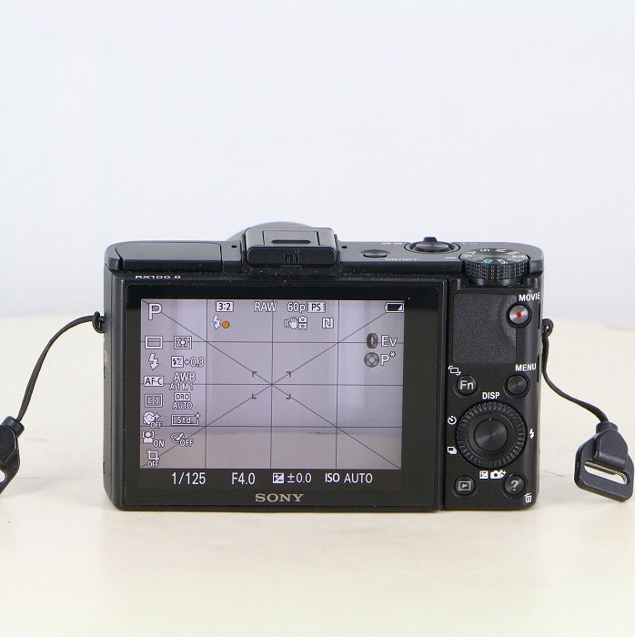 ソニー DSC-RX100M2