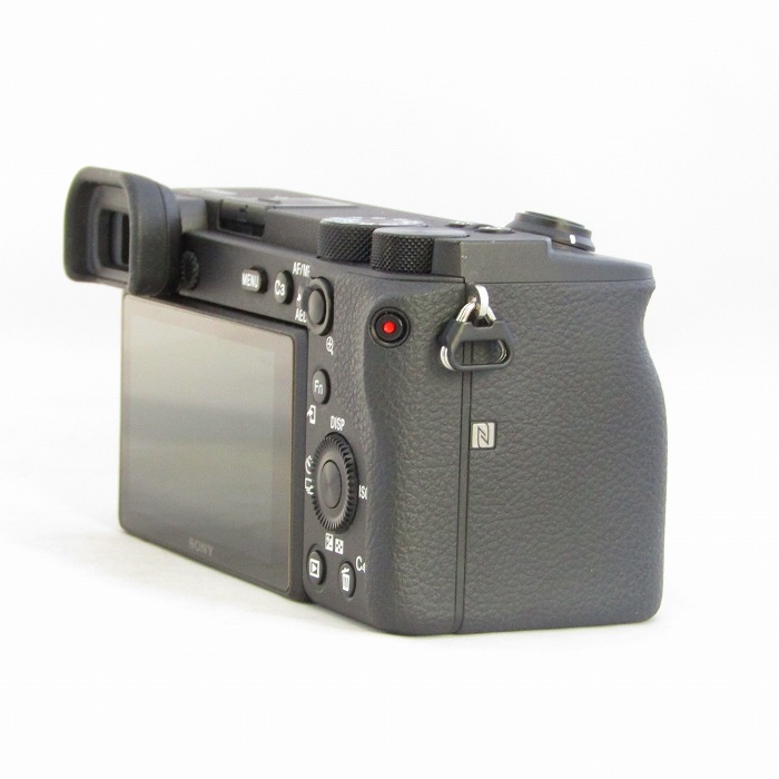 ソニー α6600 ボデイ