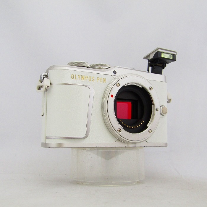 オリンパス E-PL9 ボデイ (ホワイト)