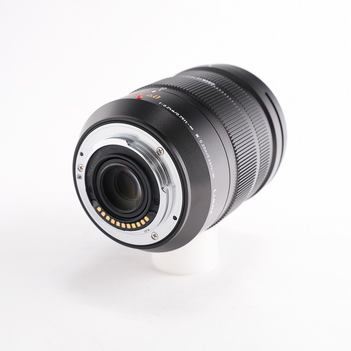 パナソニック LEICA DG VARIO-ELMARIT 12-60/2.8-4.0 ASPH. (H-ES12060)