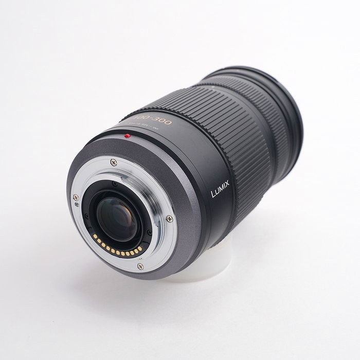 パナソニック LUMIX G VARIO 100-300/4-5.6 MEGA O.I.S. [H-FS100300]