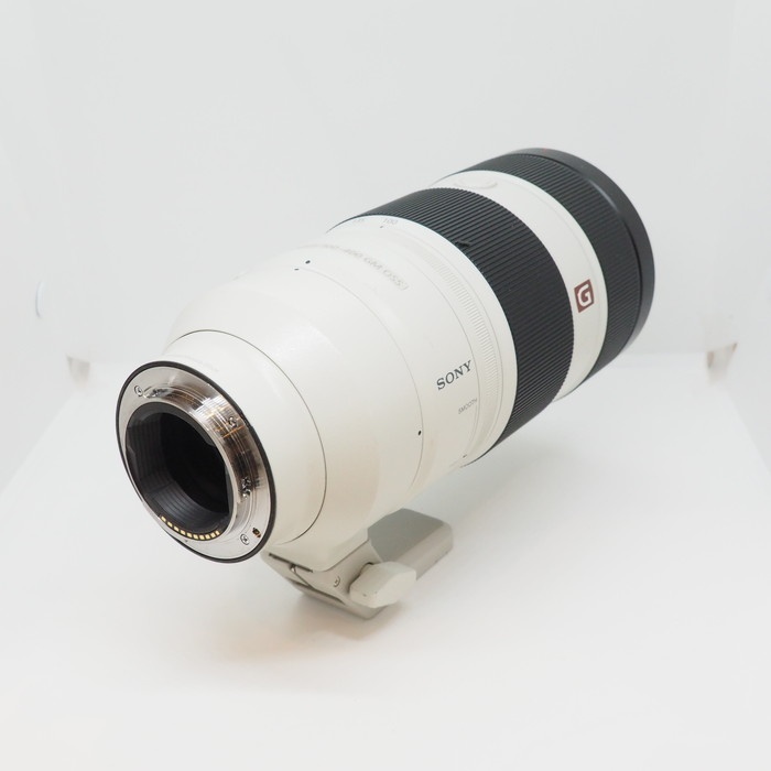 ソニー FE100-400/4.5-5.6 GM OSS