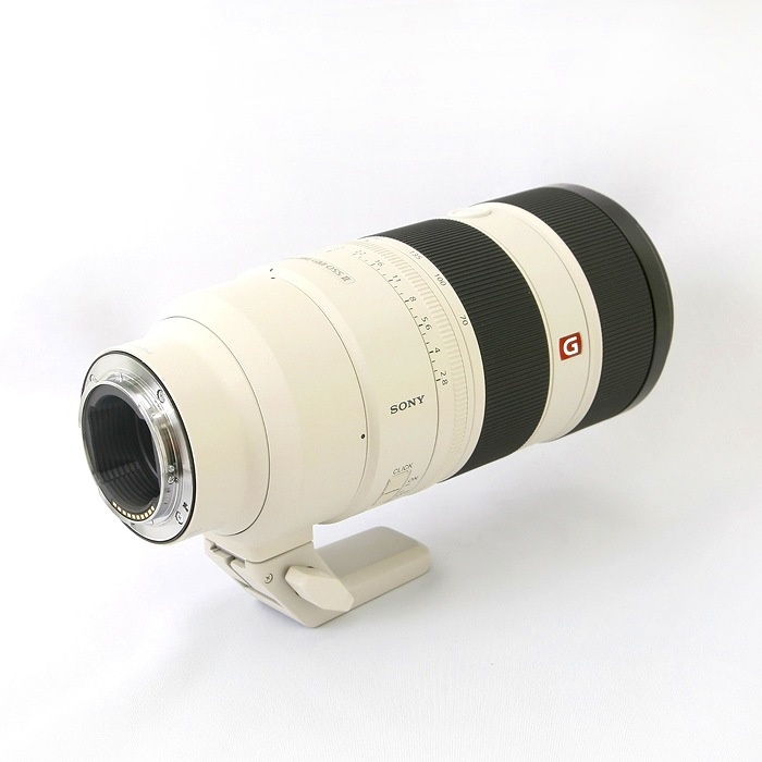 ソニー ソニー FE70-200/F2.8 GM OSS II