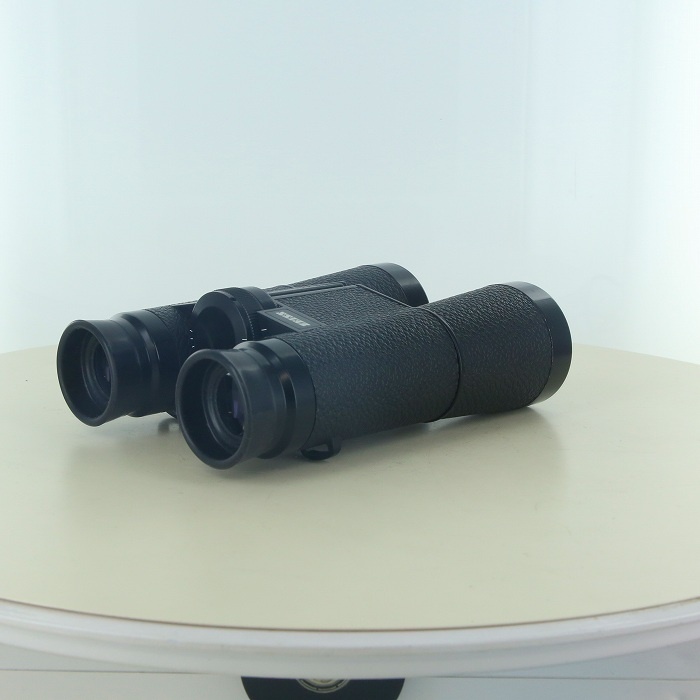 ツアイス Dailyt 10x40B