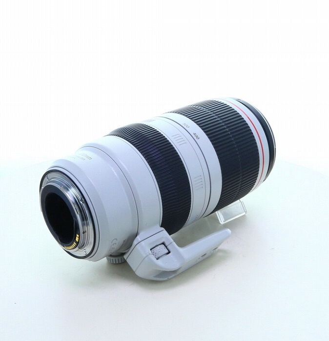 キヤノン EF100-400/4.5-5.6L IS II USM