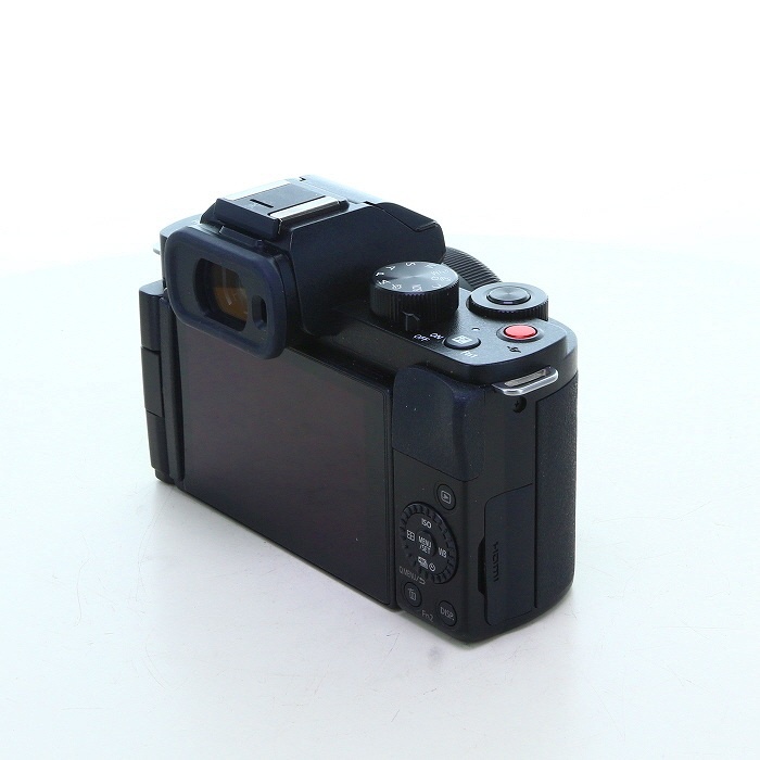 パナソニック LUMIX DC-G100DK 標準ズームレンズキット