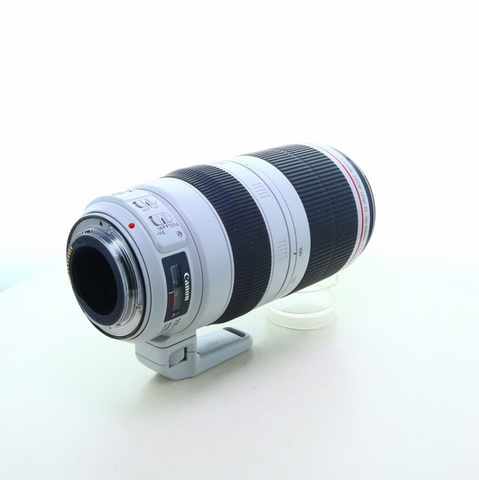 キヤノン EF100-400/4.5-5.6L IS II USM