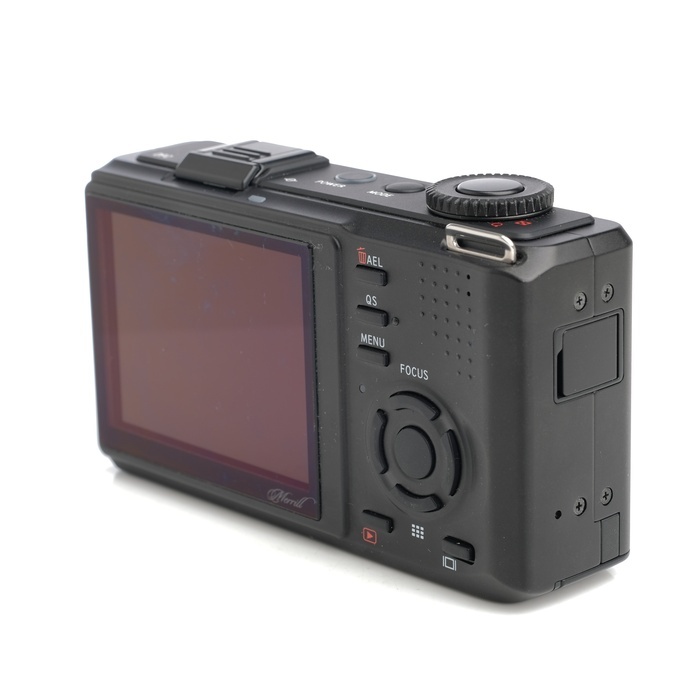 シグマ DP2 MERRILL