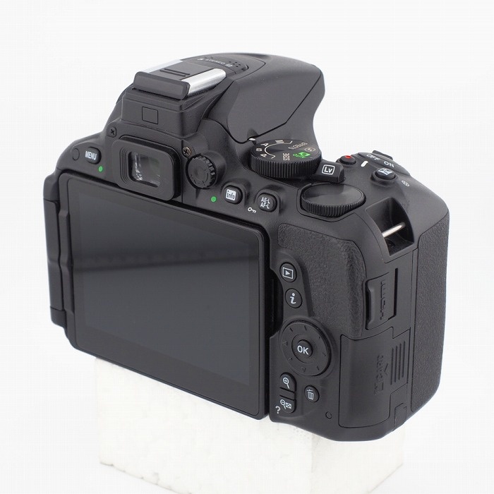 ニコン D5500
