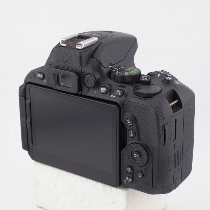 ニコン D5500