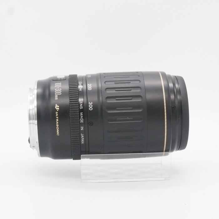 キヤノン EF100-300/F4.5-5.6 USM