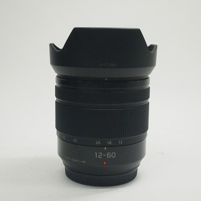 パナソニック Gバリオ 12-60/3.5-5.6 ASPH POWER OIS (H-FS12060)