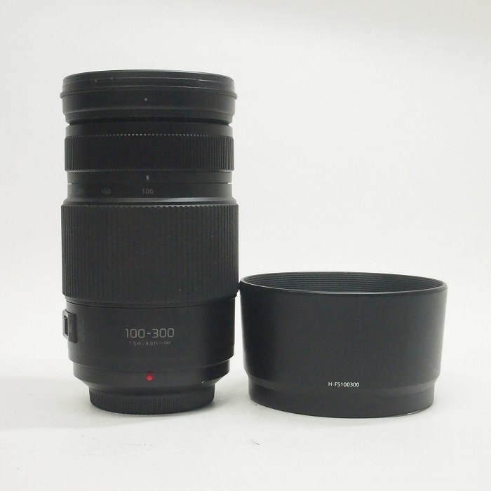 パナソニック G VARIO 100-300/4.0-5.6 POWER OIS H-FSA100300