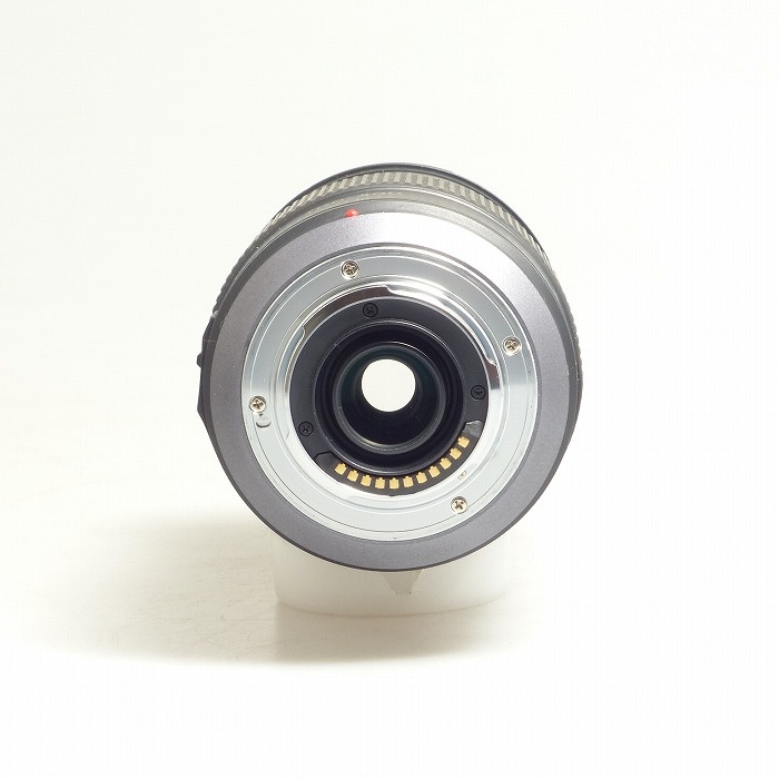 パナソニック G VARIO 100-300/4-5.6 MEGA O.I.S.