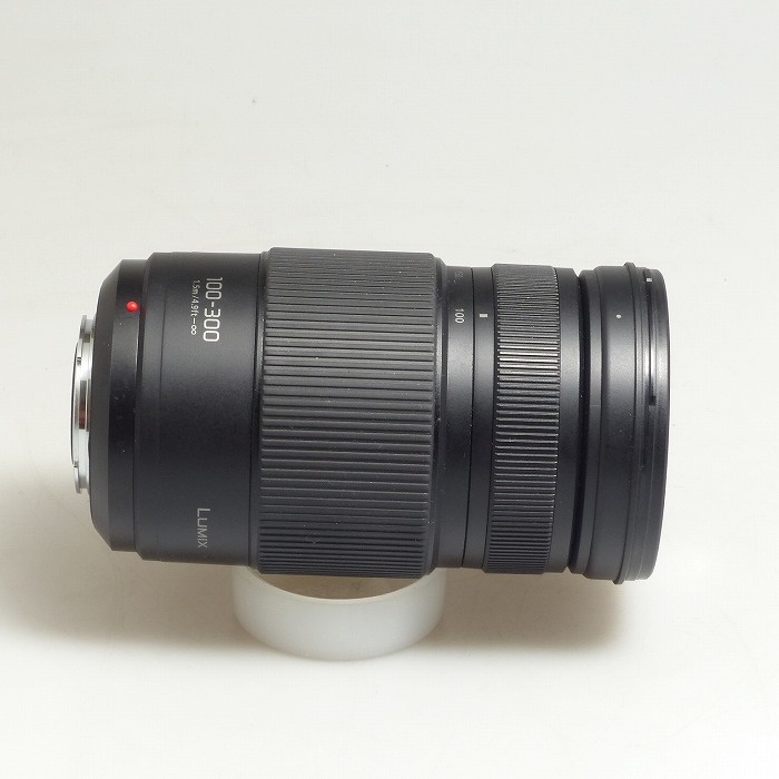 パナソニック G VARIO 100-300/4-5.6II （H-FSA100300）