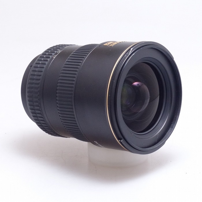 ニコン AF-S DX 17-55/2.8G IF-ED