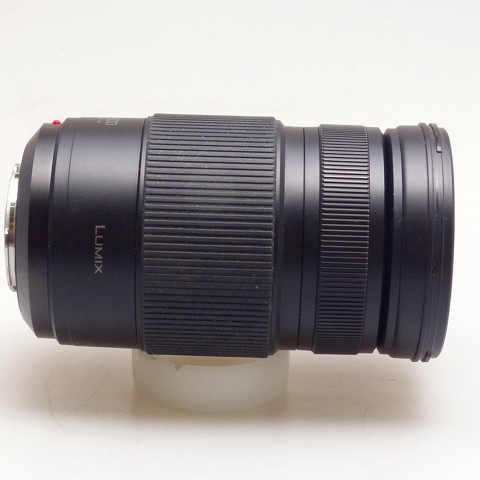 パナソニック G VARIO 100-300/F4.0-5.6 II POWER O.I.S. H-FSA100300